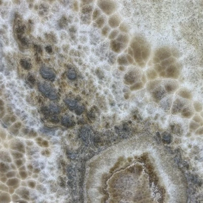 Boble Onyx